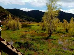 -泸沽湖国家级风景名胜区走婚桥