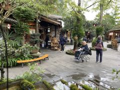 -青城甲(青城山店)