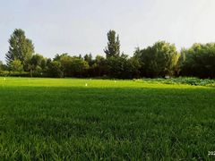 -木塔寺遗址生态公园