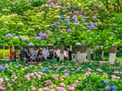 -常州古运河南大街文化旅游区-人民公园