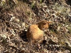 -终南山南五台景区