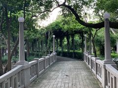 -叶家花园