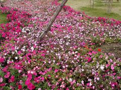 -荔湾区儿童公园