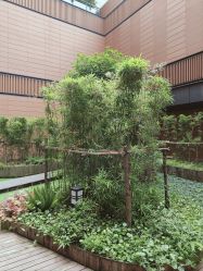 -上海市儿童医院(泸定路院区)