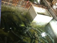 -区海鸡场饭店(石壁店)