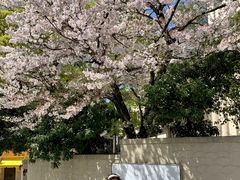 -神户六甲牧场(北野本店)