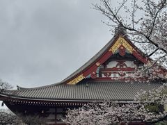 -浅草寺