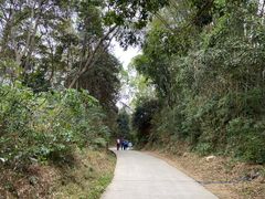 -黄埔油麻山森林公园
