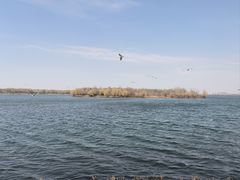 -丁香湖公园