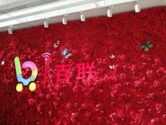 -沈阳百联购物中心(青年大街店)