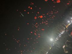 -南宁花花大世界景区