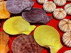 -摩登百货(岗顶店)