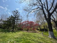 -棒棰岛宾馆景区