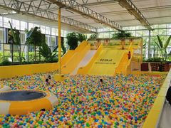 -南宫五洲植物乐园