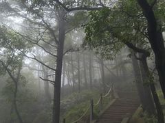 -崂山巨峰游览区