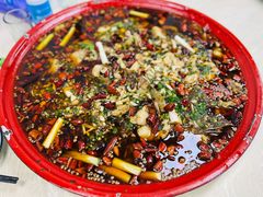 来凤鱼-东吴霸王兔(松青路店)