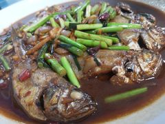 小黄鱼-老渔家特色海味馆(金海中路店)