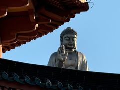 -龙口南山旅游景区