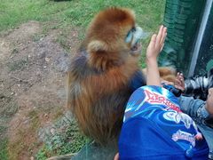 -西安秦岭野生动物园