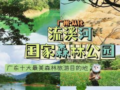 -广州市流溪河国家森林公园