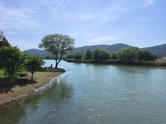 -长广溪湿地公园