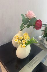 -澳玛·星光医疗美容