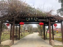 -鹅湖玫瑰文化园