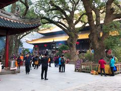 -普陀山风景名胜区-法雨禅寺
