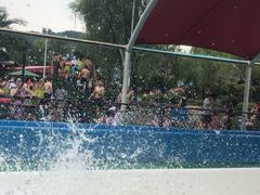 -杭州浪浪浪水公园
