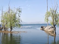 -洱海月湿地公园