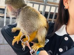 -水上乐园·欢乐世界