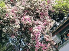 -深圳国际园林花卉博览园