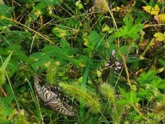 -大连金龙寺国家森林公园-售票处
