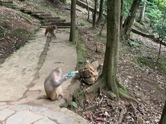 -黔灵山公园