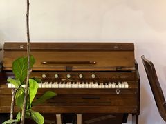 -春风十里咖啡馆