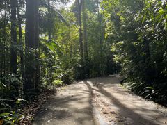 -武吉知马自然保护区