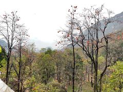 -狼牙山风景区