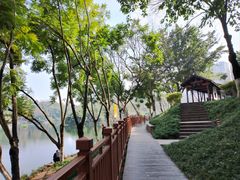 -重庆彩云湖湿地公园