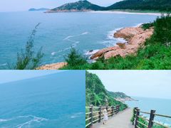 -广东惠东海龟国家级自然保护区
