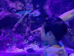 -沈阳海洋探索中心