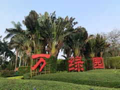 -万绿园