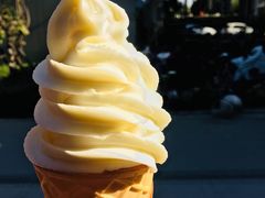 -蜜雪冰城(托乐嘉店)