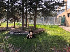 -西安秦岭野生动物园