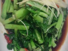 -添福来墨鱼饺子 · 海鲜东北菜(泡崖店)