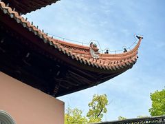 -苏州文庙(姑苏区)