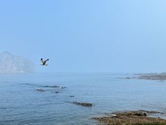 -棒棰岛宾馆景区