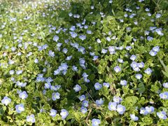 -汉长安城未央宫国家考古遗址公园