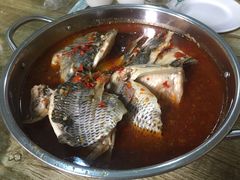 -风鑫铃罗非鱼(道沟店)