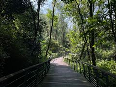 -西湖风景区-江洋畈生态公园