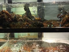 -甄御•海鲜新青岛菜(麦岛店)